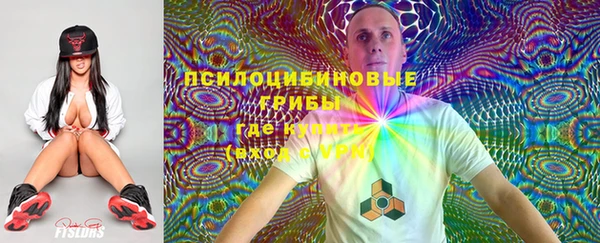 твердый Армянск