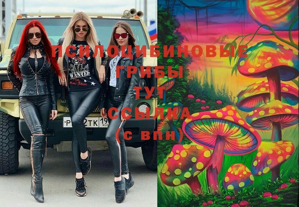 первитин Алексеевка